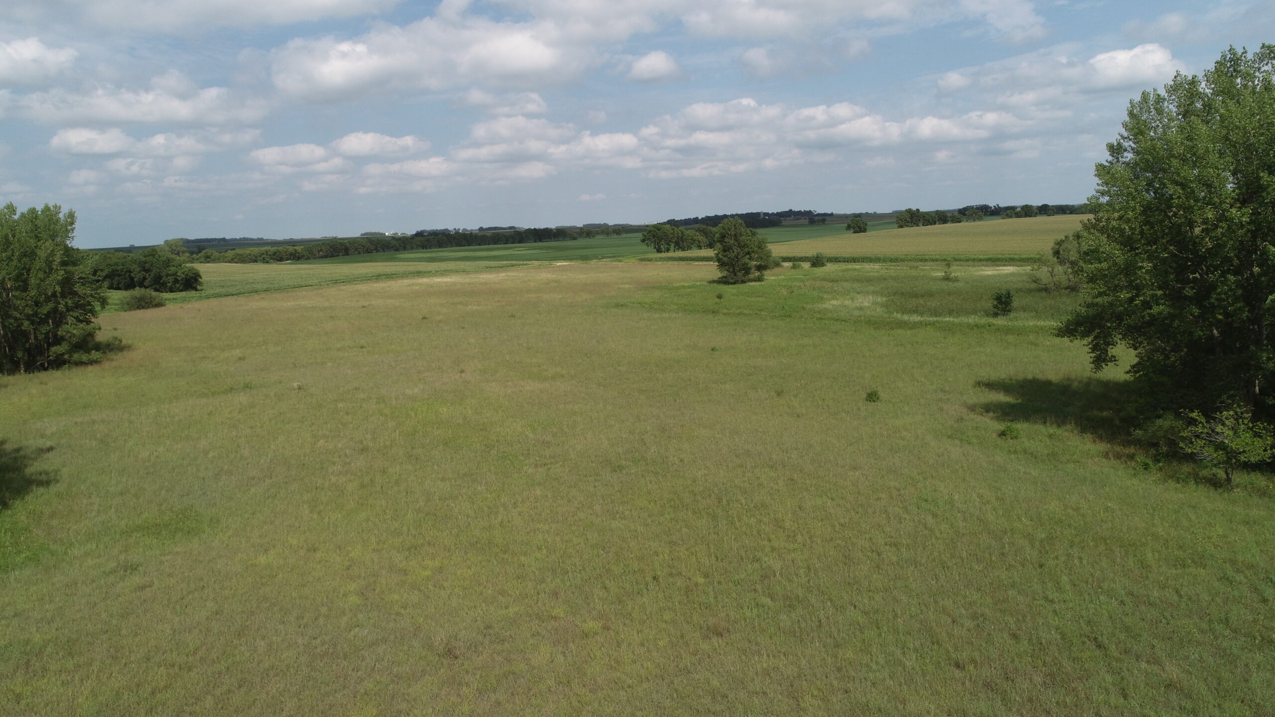 McClellan Hunting / CRP Northwestern Farm Management Co.