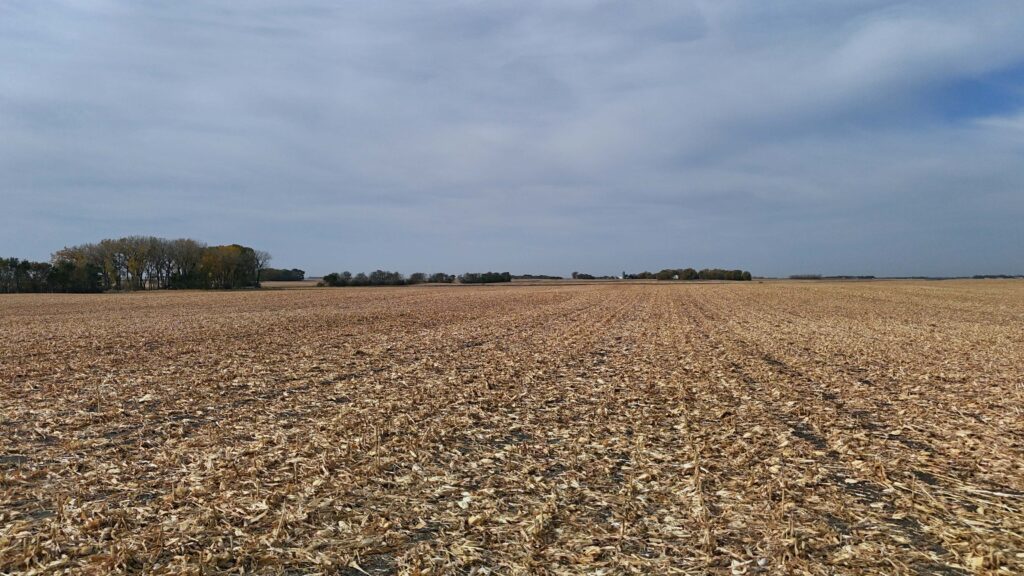 REDWOOD COUNTY, MN (Westline Twp) 153.03± total acres